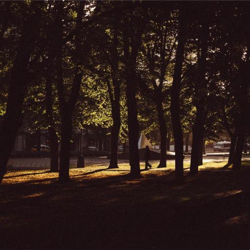 https://picsum.photos/1024?a=9