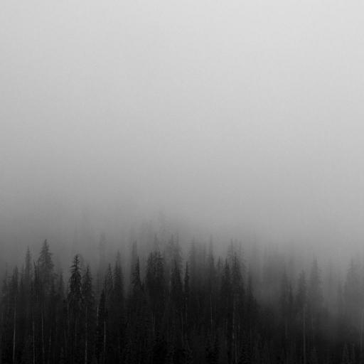 https://picsum.photos/1024?a=10